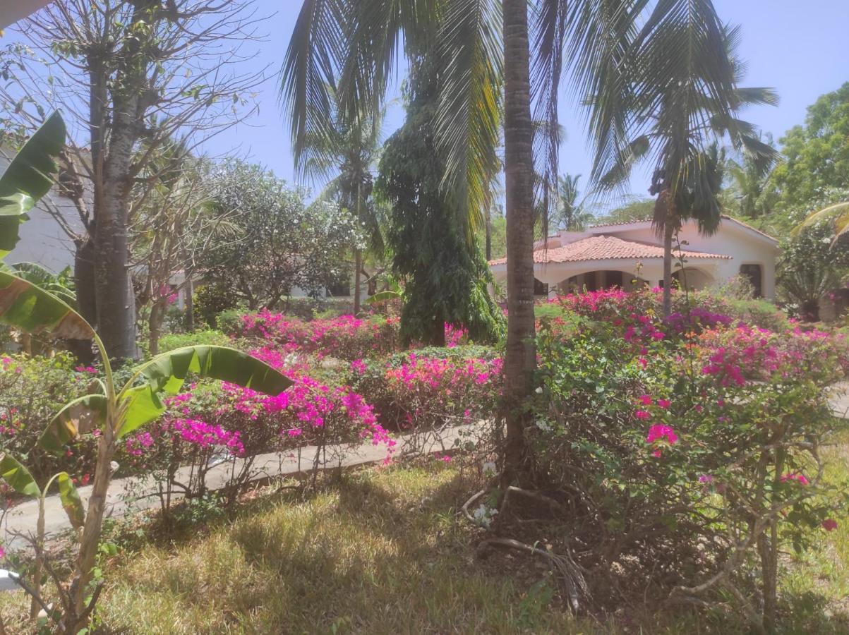 2Livu Villas וואטאמו מראה חיצוני תמונה